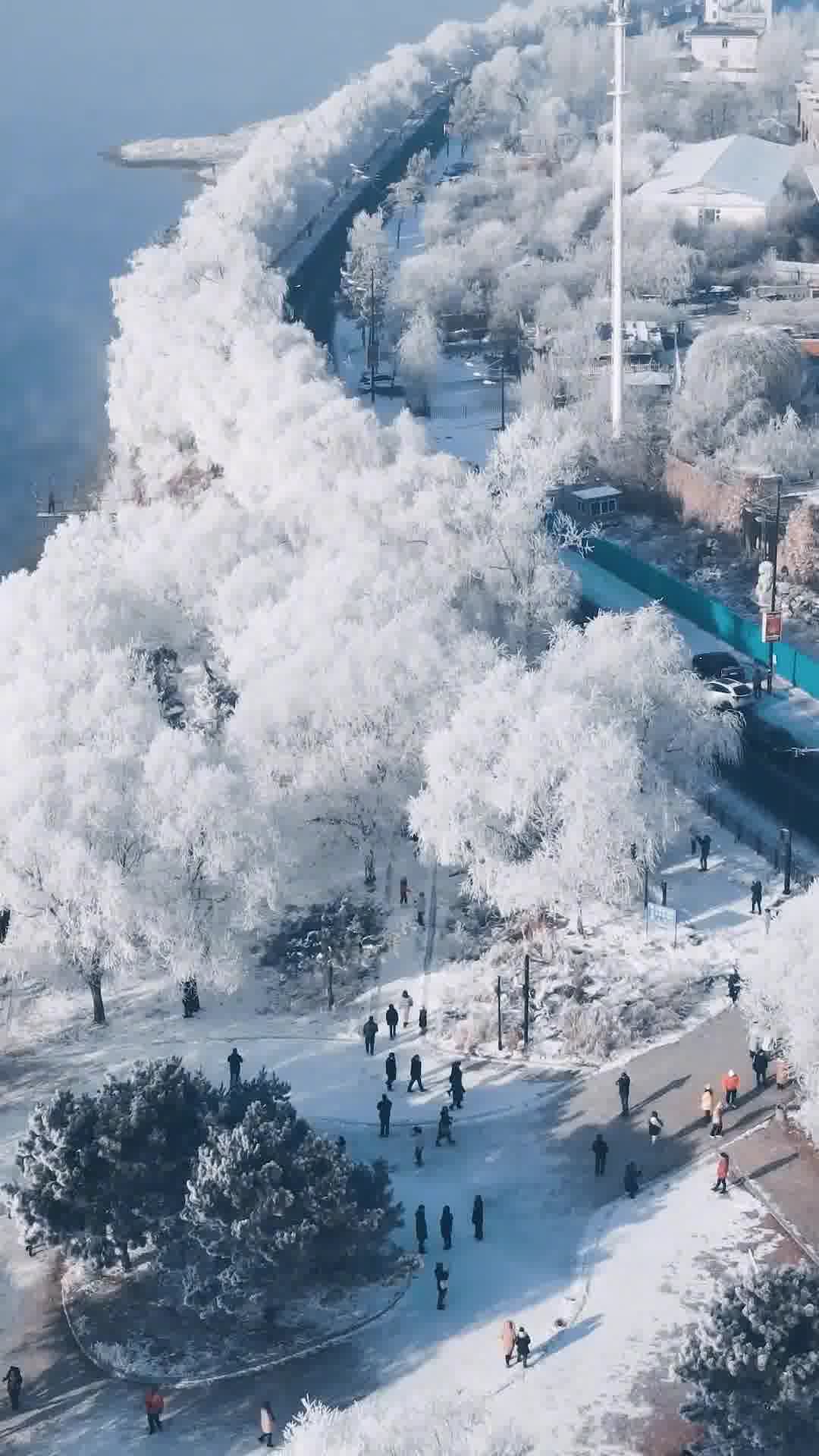 吉林，冬日里的温暖日常画卷