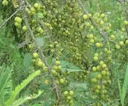 海南，热带风情与美食的绝佳体验地