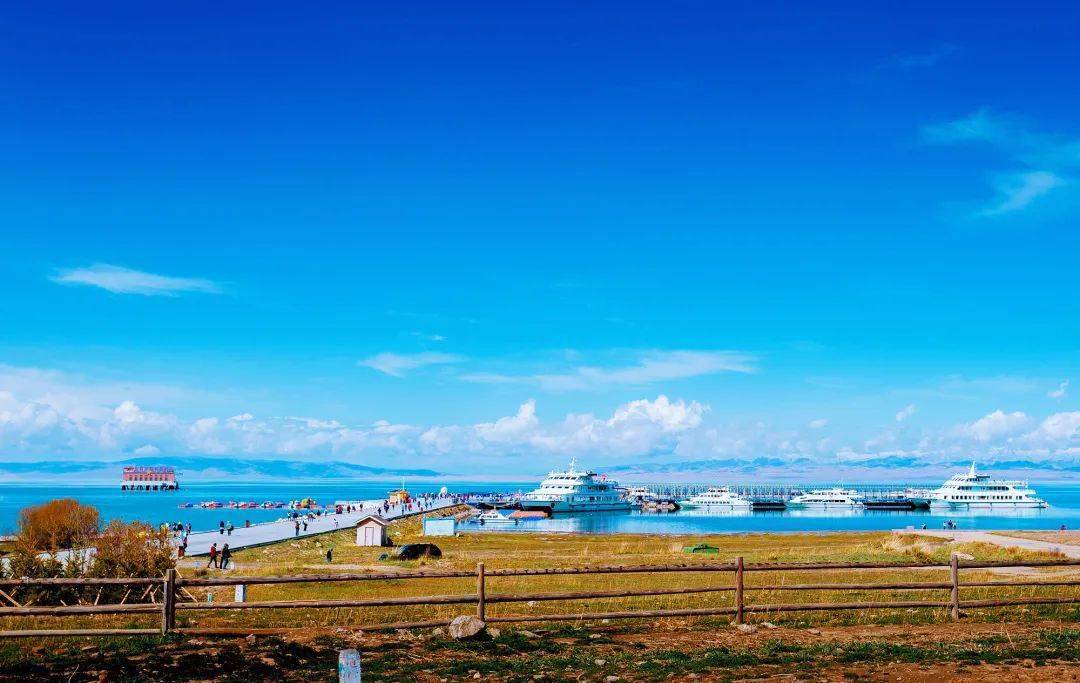 青海相聚，共话发展盛典