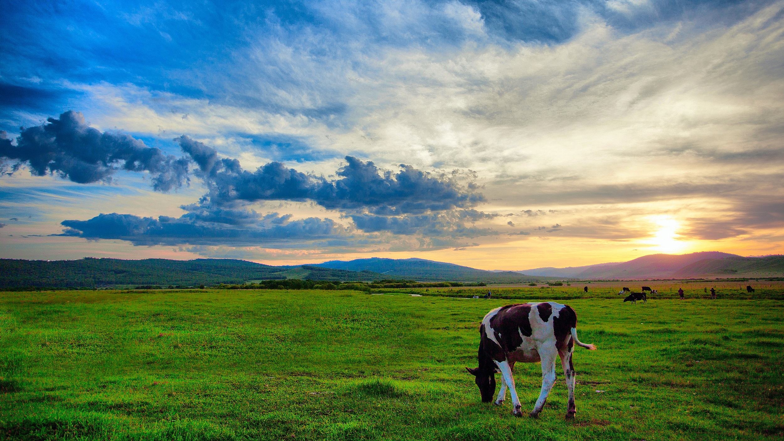 呼伦贝尔，草原之珠的魅力与探索之旅