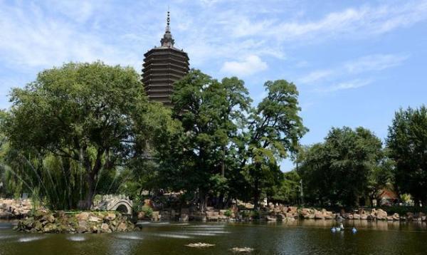 辽阳小巷深处的美食秘境