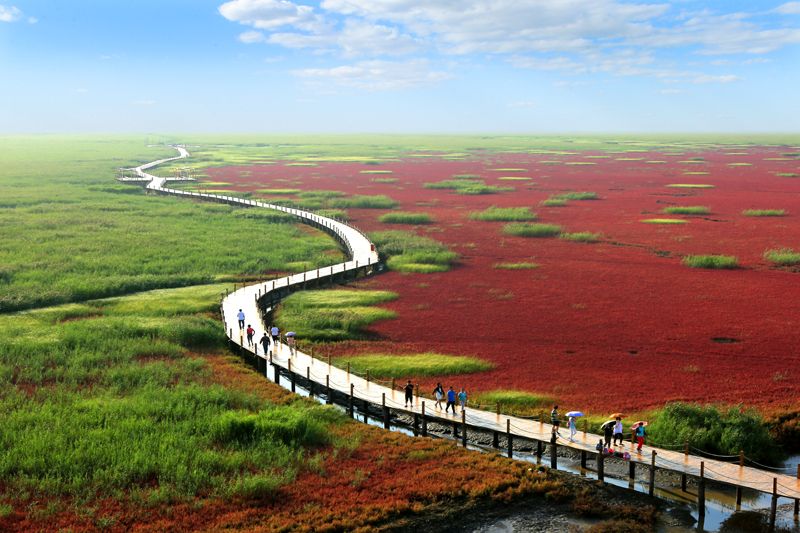 盘锦,地域特色与文化底蕴的璀璨展现