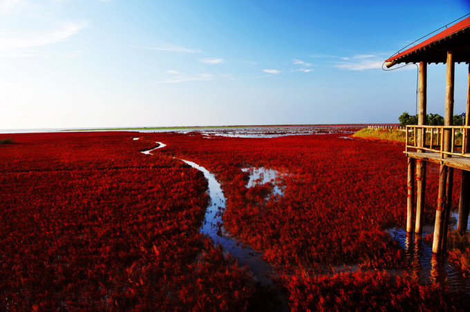 盘锦,地域特色与文化底蕴的璀璨展现