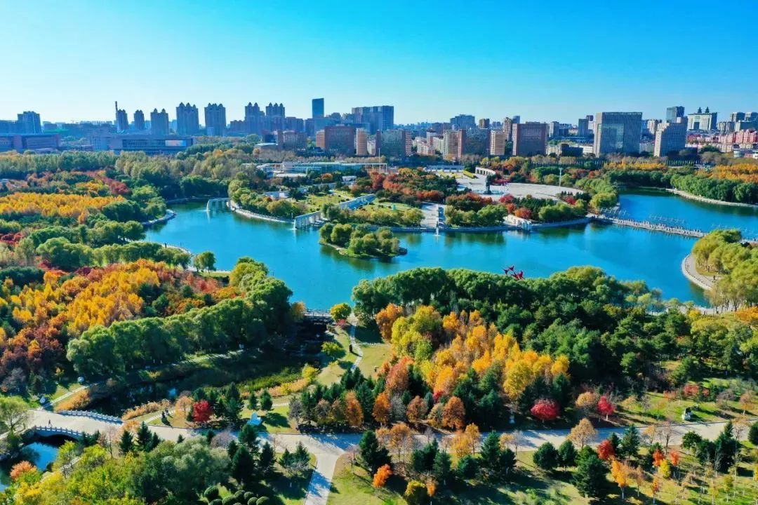 长春，历史与现代交融的璀璨明珠之城